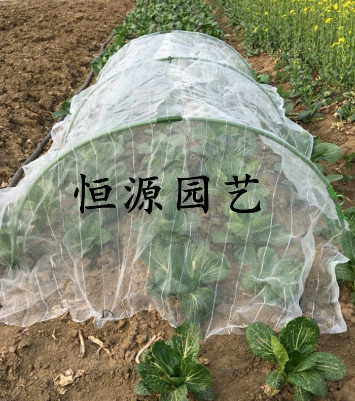 暖房大棚支架套装 温室暖房 蔬菜暖房 尼龙网  菜园大棚