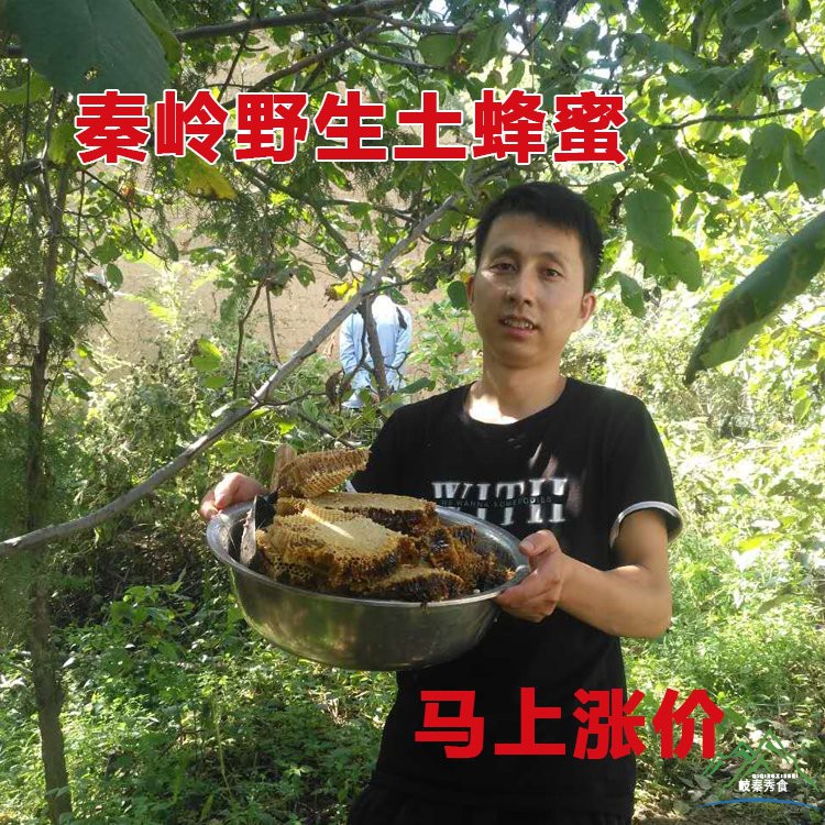 秦岭土蜂蜜农家自产原生态百花蜜蜂巢蜜结晶蜜崖蜜原蜜岩蜜在类目 传统滋补营养品, 蜂蜜中 - 来自Buy2taobao.com提供专业的淘宝代购服务