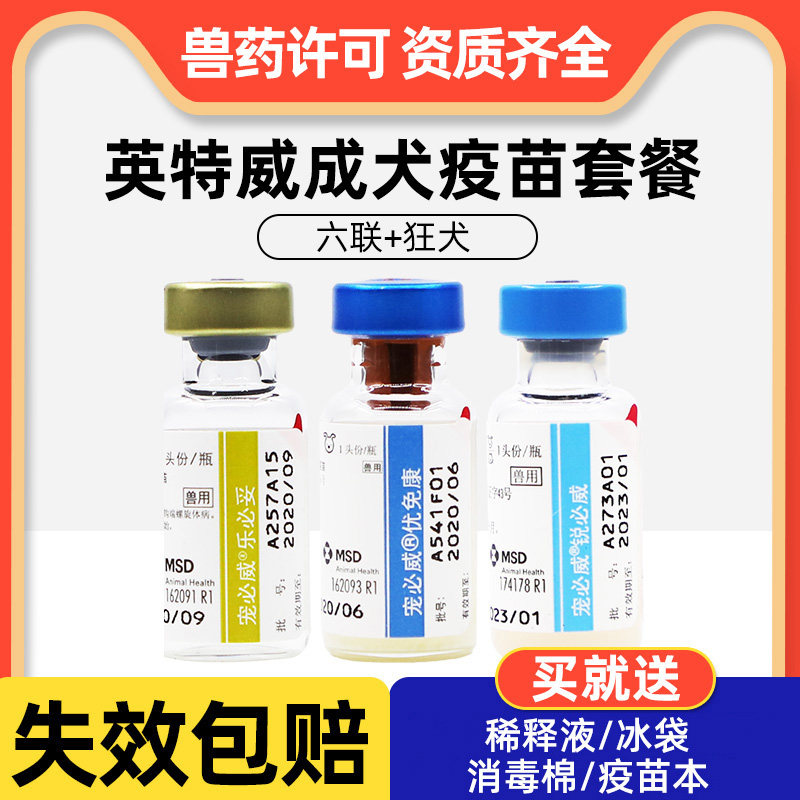 英特威宠物疫苗六联 狂犬成犬育苗套装钩端预防犬瘟细小犬副流感