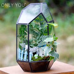 ONLYYOU苔藓植物微景观生态瓶几何玻璃花房DIY绿物盆栽生日礼物