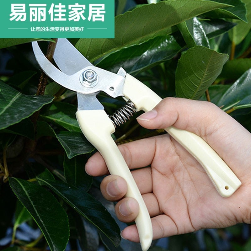 剪蒜头神器农用工具剪刀剪番茄头修树枝园艺修枝剪家用果树花草易