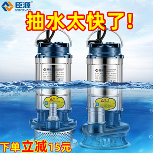 臣源潜水泵220V家用小型不锈钢井水高扬程抽水机农用灌溉排污水泵