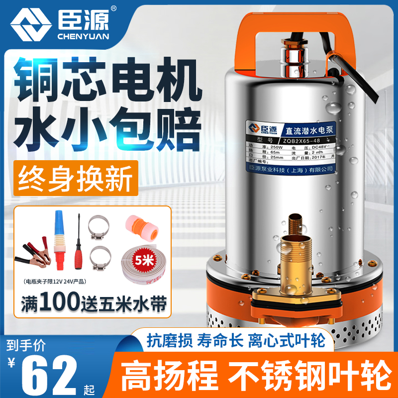 臣源直流潜水泵12V24V48V60V抽水泵家用电动车抽水机小型浇菜灌溉