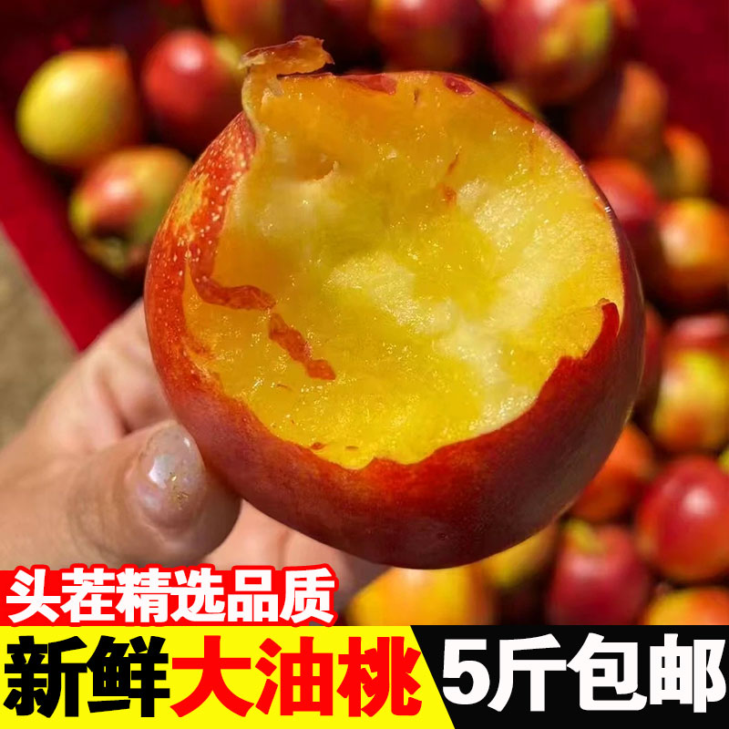 当季新鲜黄心油桃子10斤脆桃整箱水