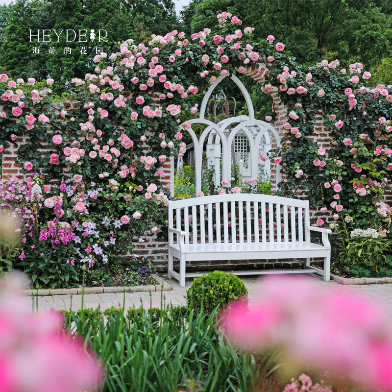 海蒂的花园 家庭园艺设计植物搭配种植 照片取自花园实景