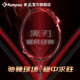 薰风2025新款羽毛球拍碳素纤维超轻耐打比赛训练单拍熏风经典黑刃