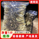 鹿茸菇干货净重500g新货蘑菇煲汤食材鹿茸菌脆脆菇福建特产菌香菇