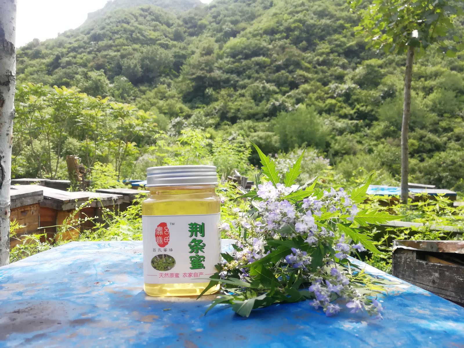 2020农家自产深山野山花天然荆条花蜂蜜荆条蜜500g买三送一