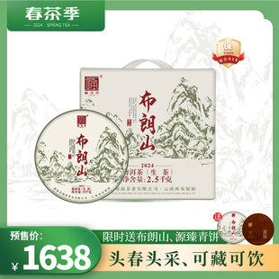 【春茶现货】2024年春茶布朗山大树茶云南勐海普洱茶357g*7饼