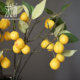 欧式黄色浆果假果实柠檬仿真花假花高档客厅玄关样板间花艺摆件