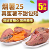 山东蜜薯糖心红薯烟薯25新鲜现挖稀瓤富硒地瓜烤地瓜农家自种五斤 山东蜜薯糖心红薯烟薯25新鲜现挖稀瓤富硒地瓜烤地瓜农家自种五斤