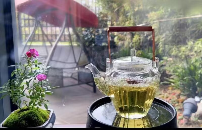 日式ins耐热玻璃花茶壶水果茶壶提梁泡茶壶下午茶茶具套装