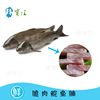 鲜宝汇 中山脆肉皖 脆鲩鱼 香脆鱼腩 新鲜皖鱼 火锅食材500g 鲜宝汇 中山脆肉皖 脆鲩鱼 香脆鱼腩 新鲜皖鱼 火锅食材500g