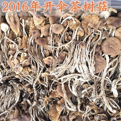 2016年开伞茶树菇1000g包邮江西特产饭店食堂瓦罐煨汤店香菇干货