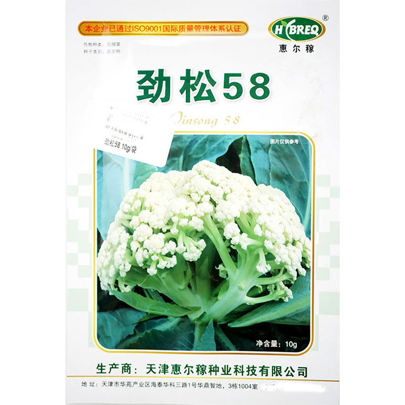 劲松75/58 青梗松花菜 种子 