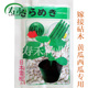 日本雪松  黄瓜西瓜甜瓜嫁接专用砧木白南瓜籽白籽南瓜种子种籽孑