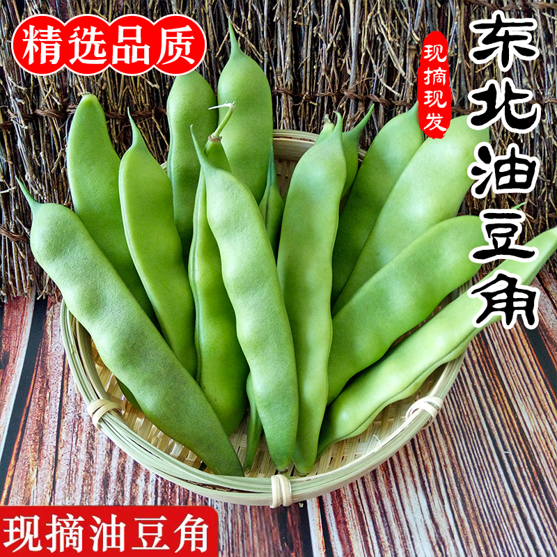 东北特产油豆角正宗九月青一点红油豆角新鲜蔬菜开锅烂面豆角现摘