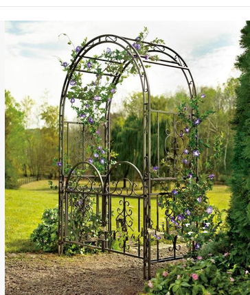 一折拱门_铁艺拱形花架藤月拱门花架铁线莲支架爬藤花架欧式铁艺庭院