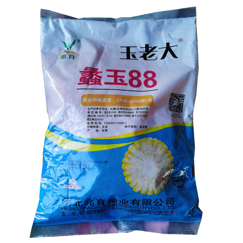 兆育25蠡玉88玉米31 958种子