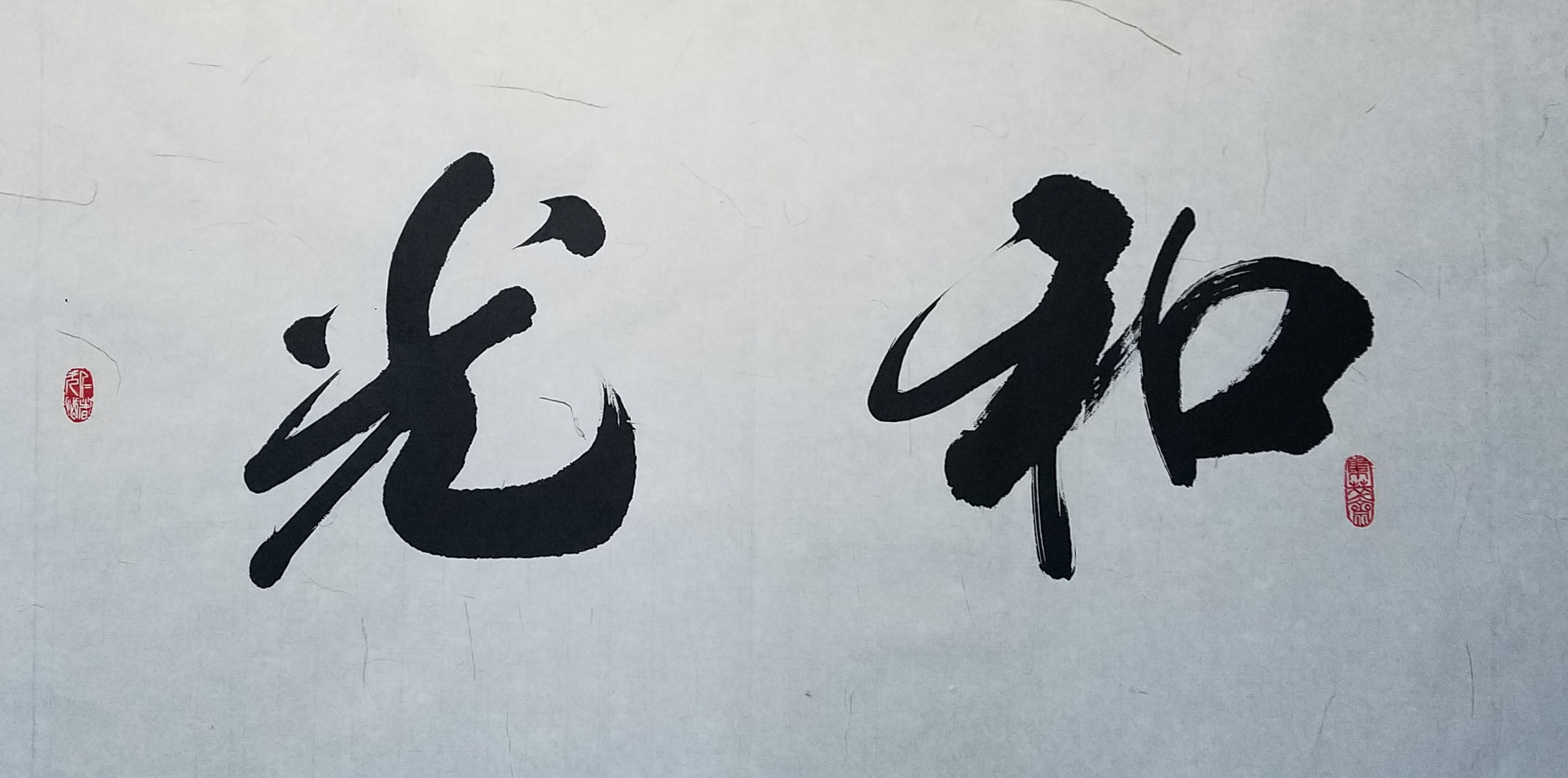 戴书贵《和光同尘》河北书协会员