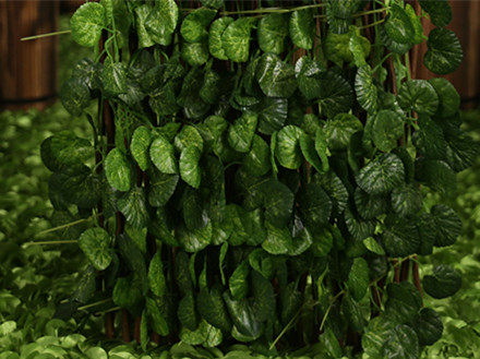 篱笆带叶子防腐木伸缩网格拉伸围栏木栅栏木头植物爬藤包邮