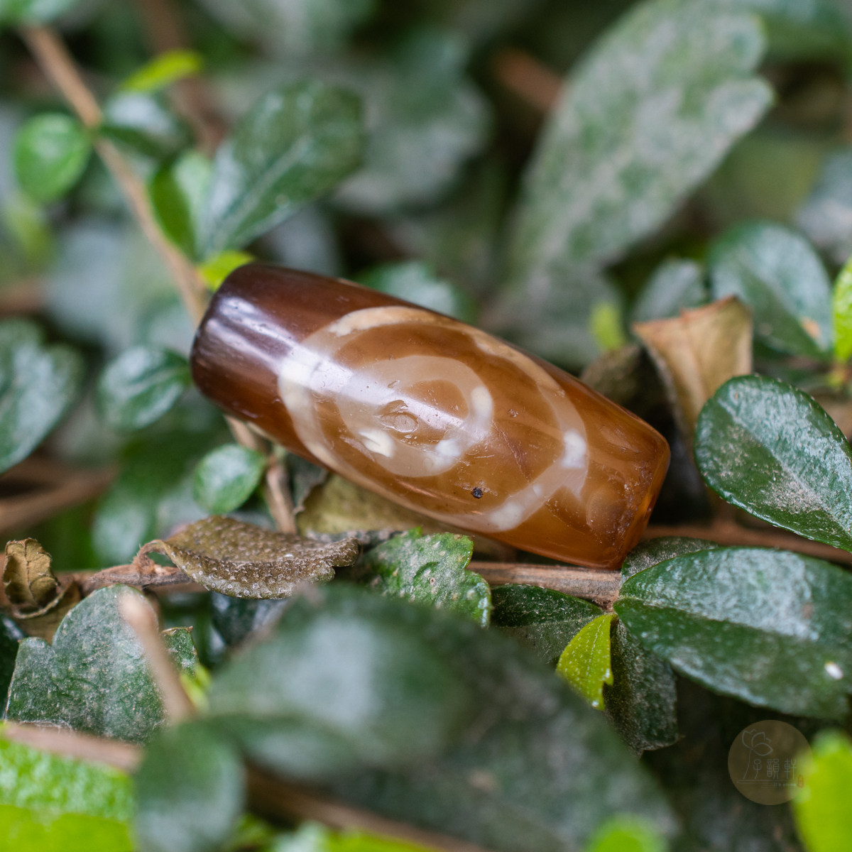 子韵轩的优惠券大全