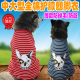 大狗狗夏季衣服薄款金毛拉布拉多阿拉斯加防掉毛中型大型犬四脚衣