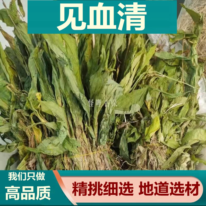 见血清 中药材见雪清整株全草250克包邮食用 见血青 羊耳蒜立地好