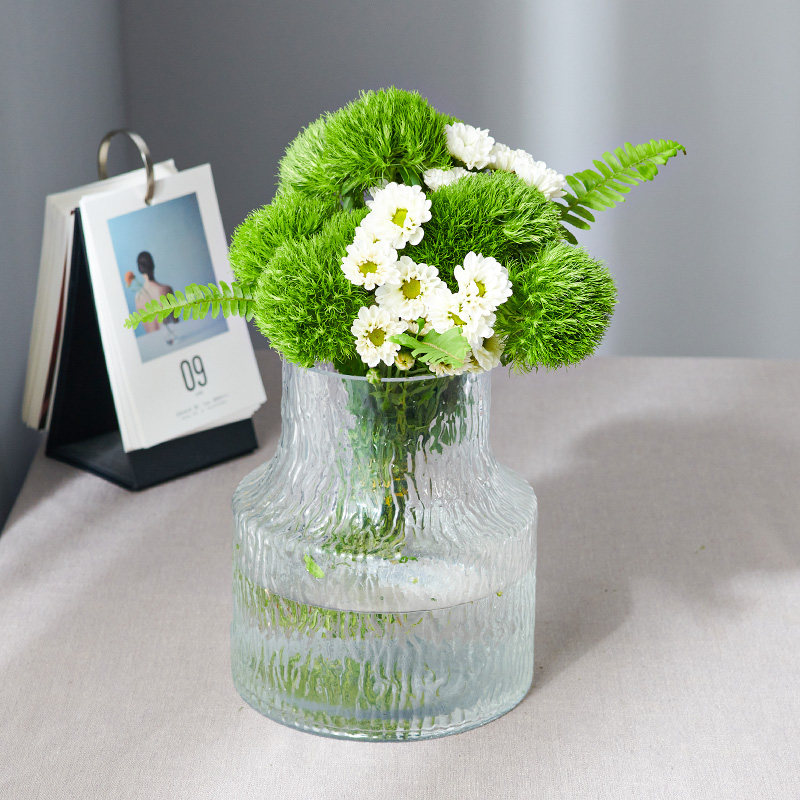 爱优尚绿毛球绿石竹鲜花植物家用办公室客厅水养装饰插花材鲜切花