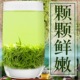 2024新茶毛尖茶叶信阳原产明前特级嫩芽浓香型绿茶散装毛尖茶250g