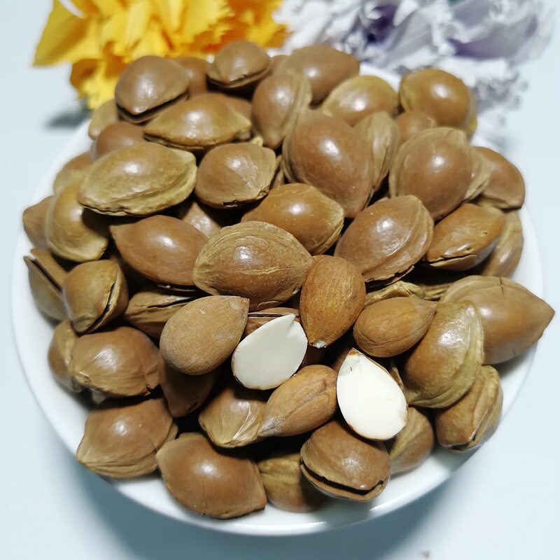 1000克新疆小白杏核带壳杏仁小银杏核散装开口坚果特产手剥香炒货