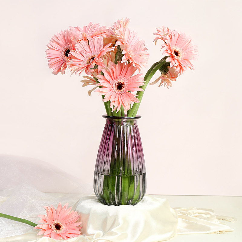 热销非洲菊_扶郎花非洲菊鲜花20枝云南昆明直发家用水养插花同城速递