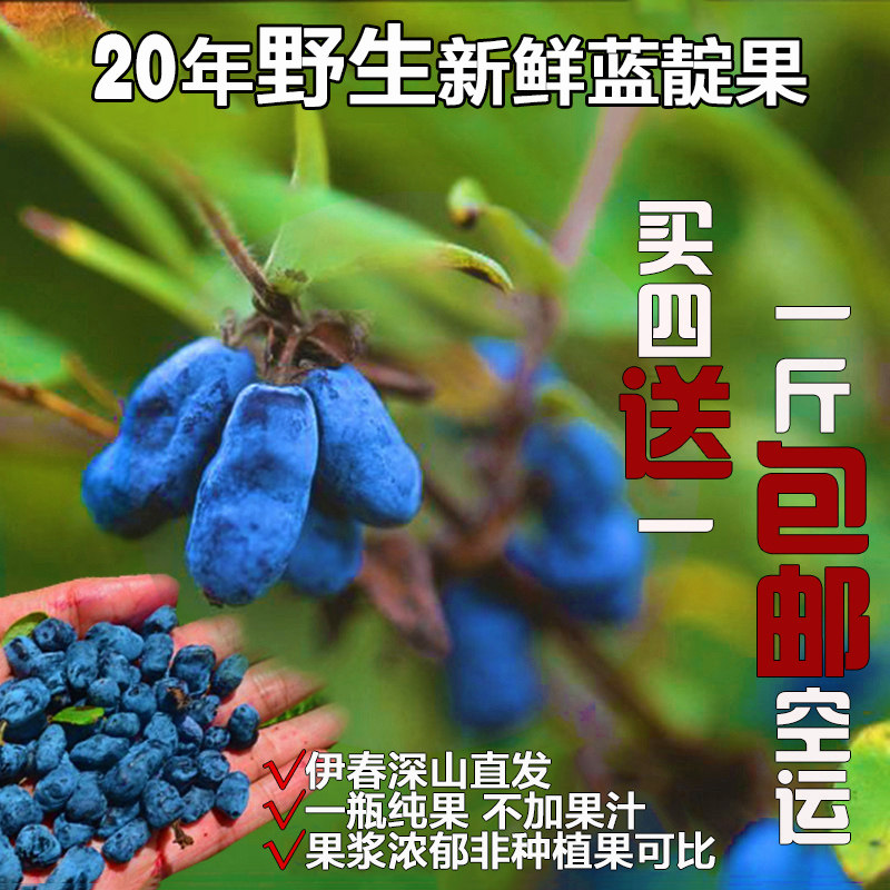 20年伊春野生蓝靛果鲜果羊奶子果黑瞎子果山茄子果野果浆500g包邮