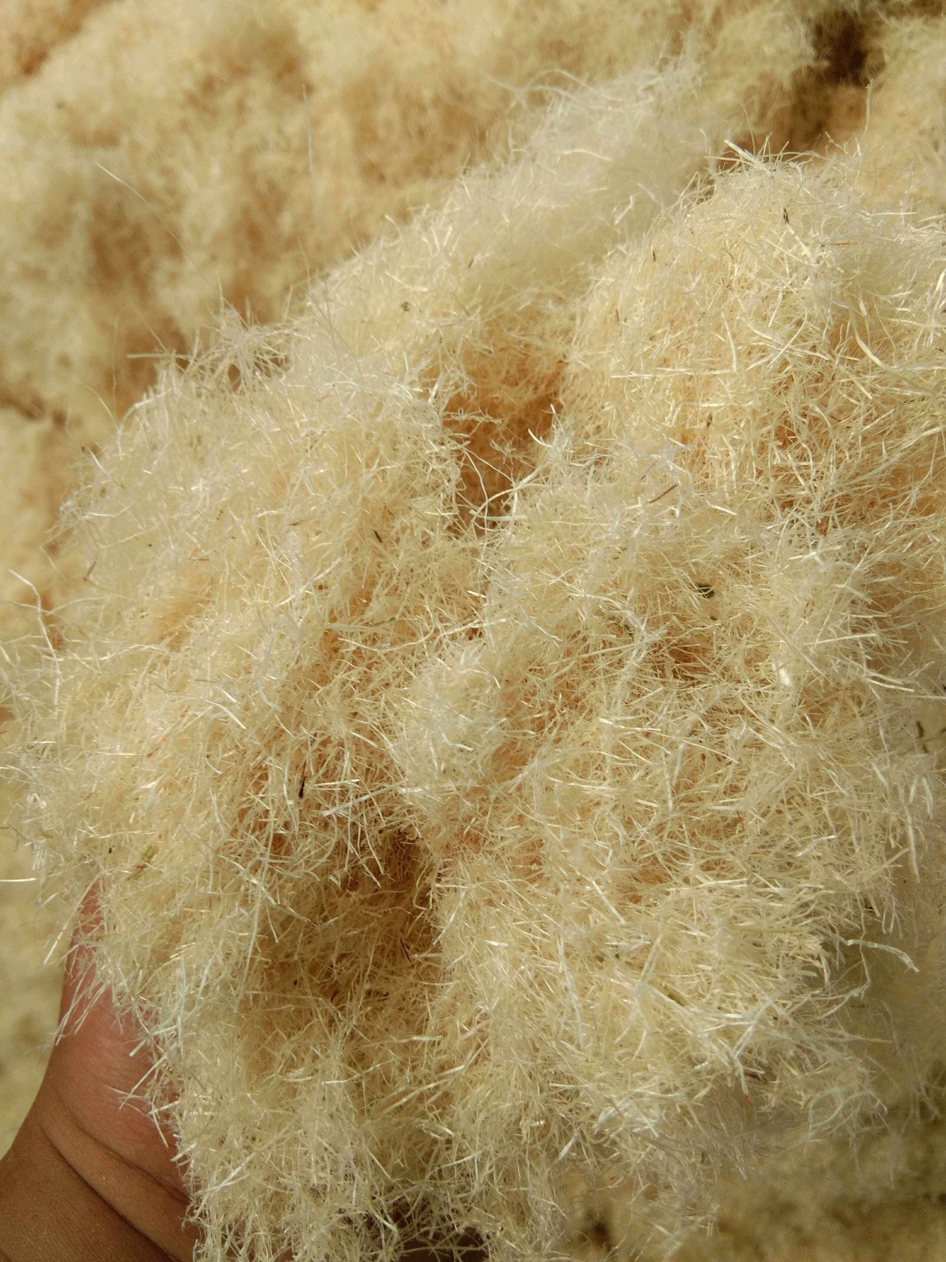 超白特价进口麻刀灰古建筑墙面装饰麻刀五斤起订包邮