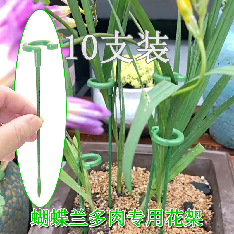 蝴蝶兰专用花支架绿植吊兰多肉花架固定植物花卉防倒伏支撑杆架子