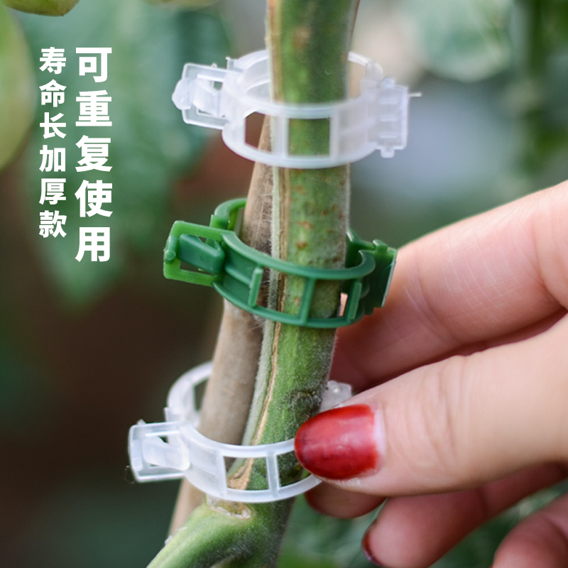 植物固定夹卡扣爬藤植物大号固定器西红柿茄子月季植物藤蔓固定夹