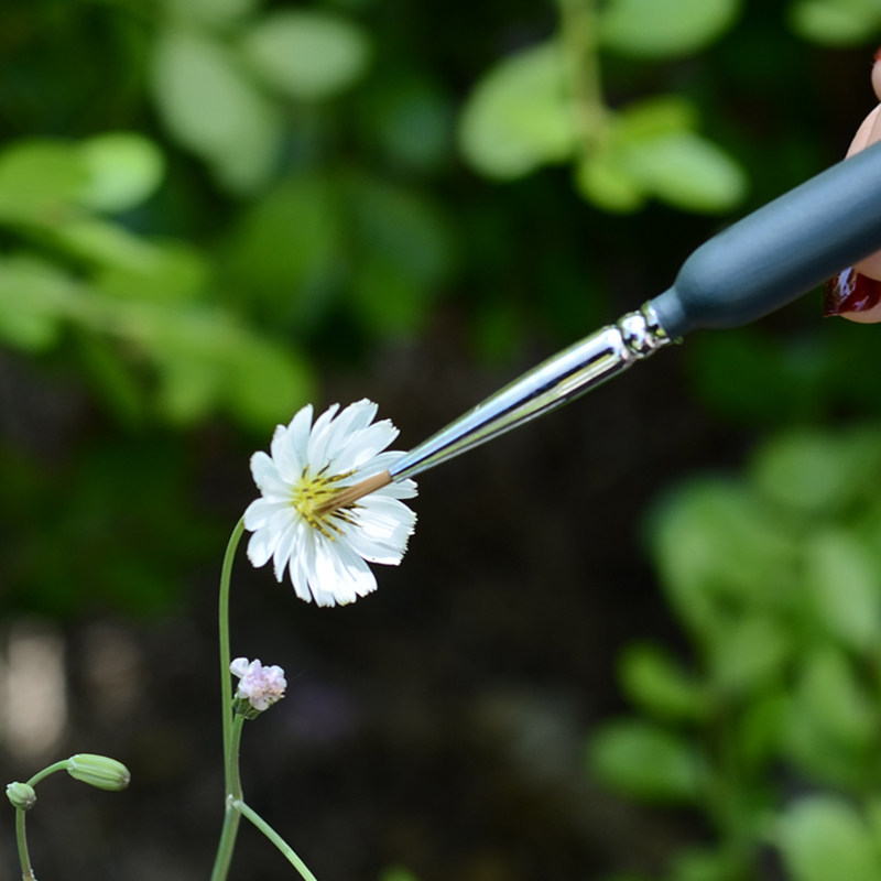 人工授粉笔多肉肉锥果树蓝莓花卉仙人球授粉神器工具授粉器授粉笔