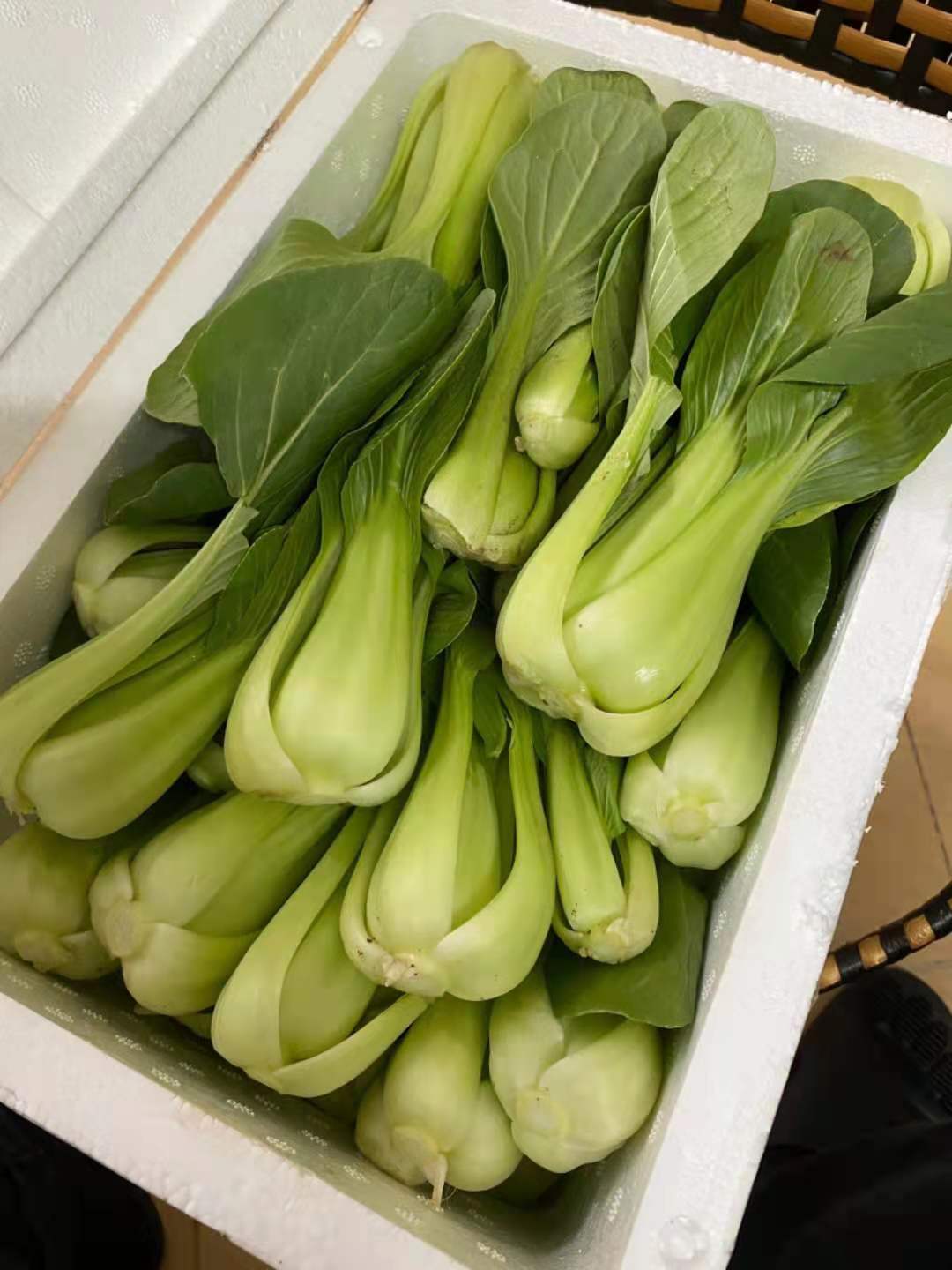 放心好店新鲜青菜小油菜500g小青菜