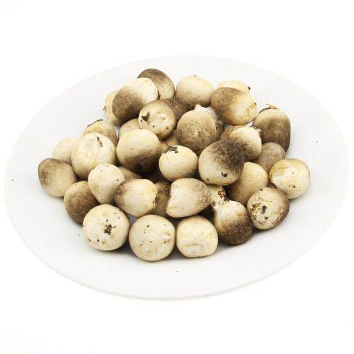 新鲜草菇 新鲜蘑菇 只发北京 500g