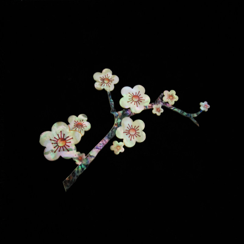 紫贝diy的优惠券大全—定制螺钿片手工雕花贝壳拼花彩贝吉他珠宝盒