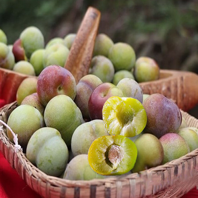四川特产新鲜李子半边红茵红李脆甜脱骨土李子孕妇低糖水果5斤
