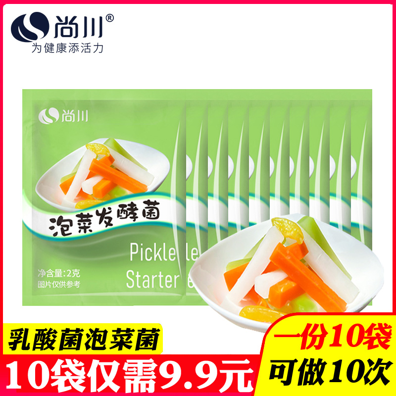 10袋尚川自制泡菜乳酸菌发酵粉做韩