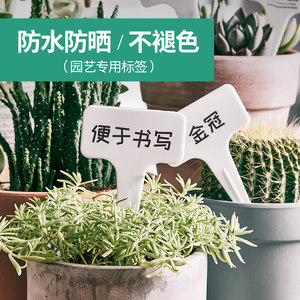 园艺标签多肉绿植花卉植物盆栽t型插牌花盆花名字标识品种环形扣