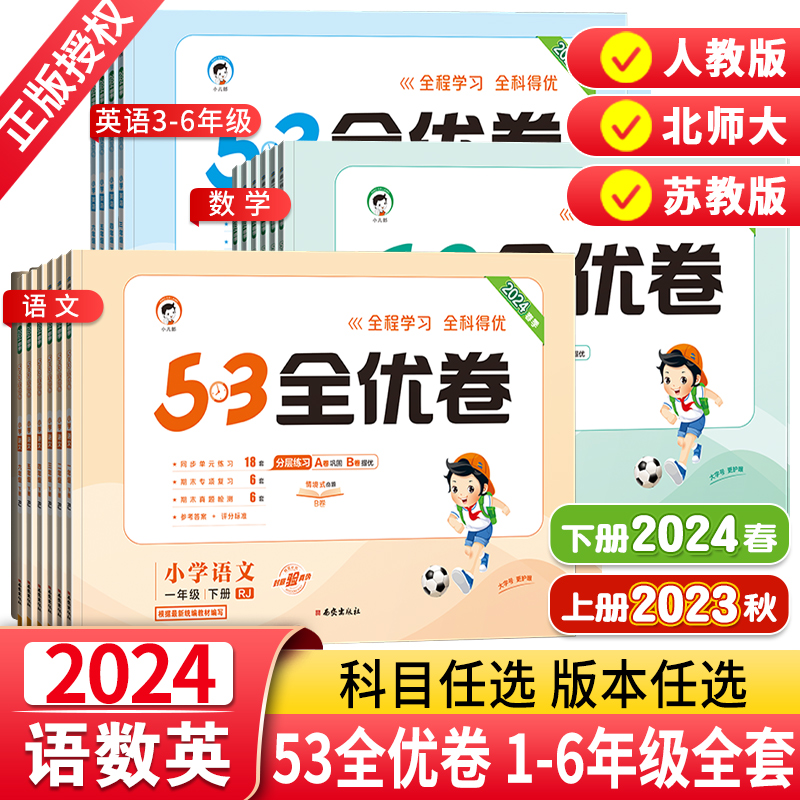 2024新版53全优卷人教版二年级