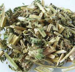 包邮野生益母草茶美人草  食疗滋补佳品500g