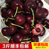 现货现摘车厘子大樱桃精选JJ特大果当季新鲜水果3斤包邮|ru 现货现摘车厘子大樱桃精选JJ特大果当季新鲜水果3斤包邮|ru