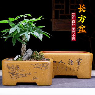 宜兴紫砂花盆精品手工特大长方形树桩榕树文竹松柏室内绿植盆景盆