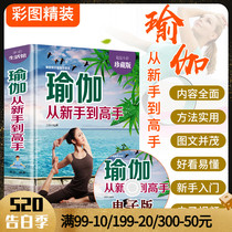 赠视频正版瑜伽从新手到高手 瑜伽书籍 初级入门零基础教程大全图解 瘦身减肥初学者 阴瑜伽普拉提教程健身书 女性书籍畅销书