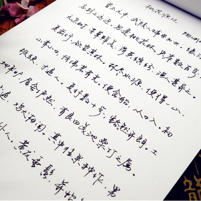 成人行书硬笔字帖行草钢笔字帖公务员临摹速成练字帖名家手写字体