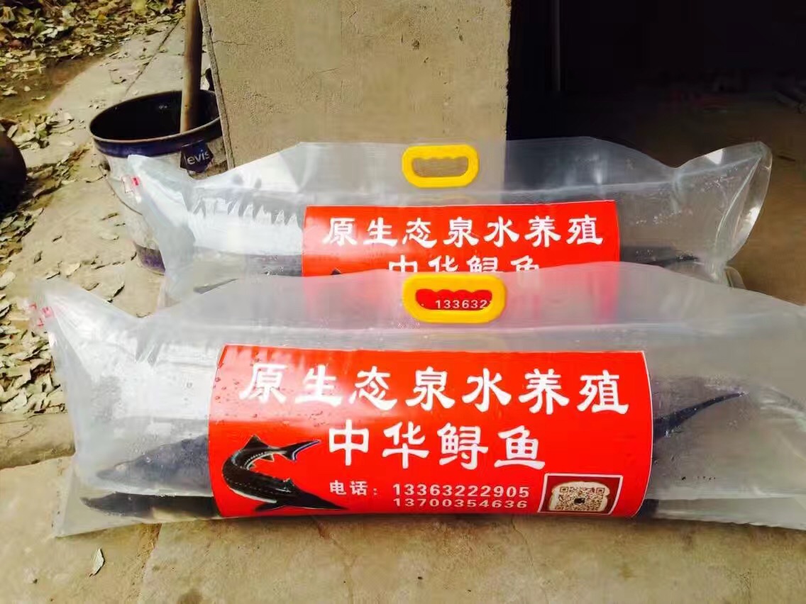 活鱼袋 鸭嘴鱼鲟鱼运输氧气包装袋 送货充氧手提袋礼品装鱼袋子|ruв категории животноводства/аквакультура материалов, животноводства/оборудование для разведения, животноводства/аквакультура оборудования - от Buy2taobao.com для оказания профессиональной услуги покупки агента Taobao